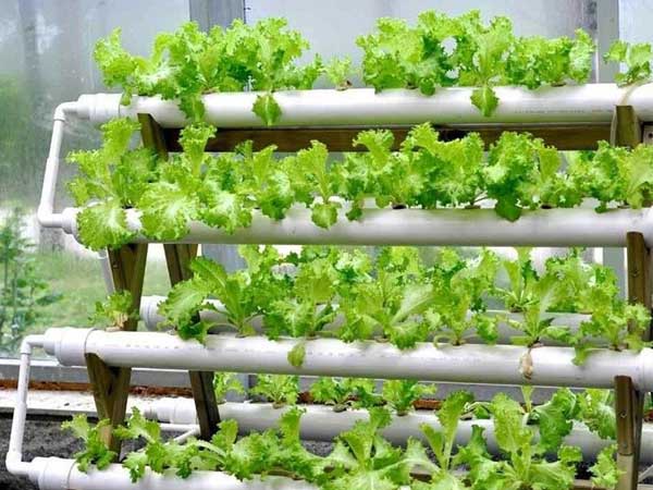 A-Frame NFT Channel Kit — 12 Pipes, 144 Plant Sites — Kexim India