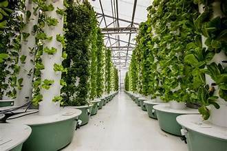 Aeroponics