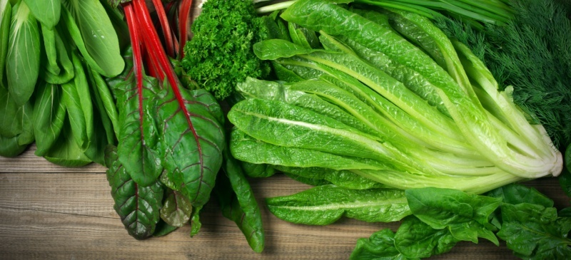 Leafy Greens NFT Farm — Kexim India Hydroponics