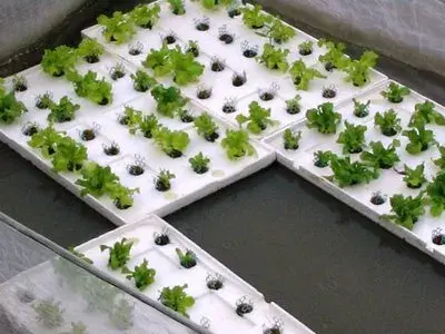 DWC Raft Systems